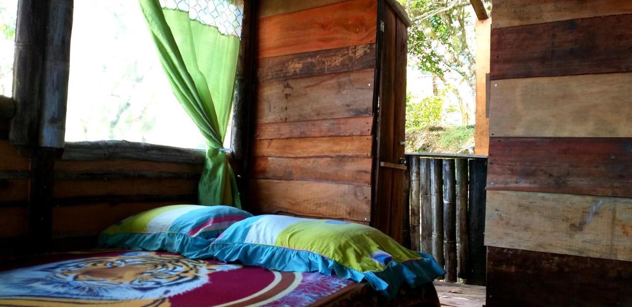 Hotel Roots Casa Rustica à Valle Hornito Extérieur photo