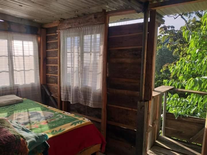 Hotel Roots Casa Rustica à Valle Hornito Extérieur photo
